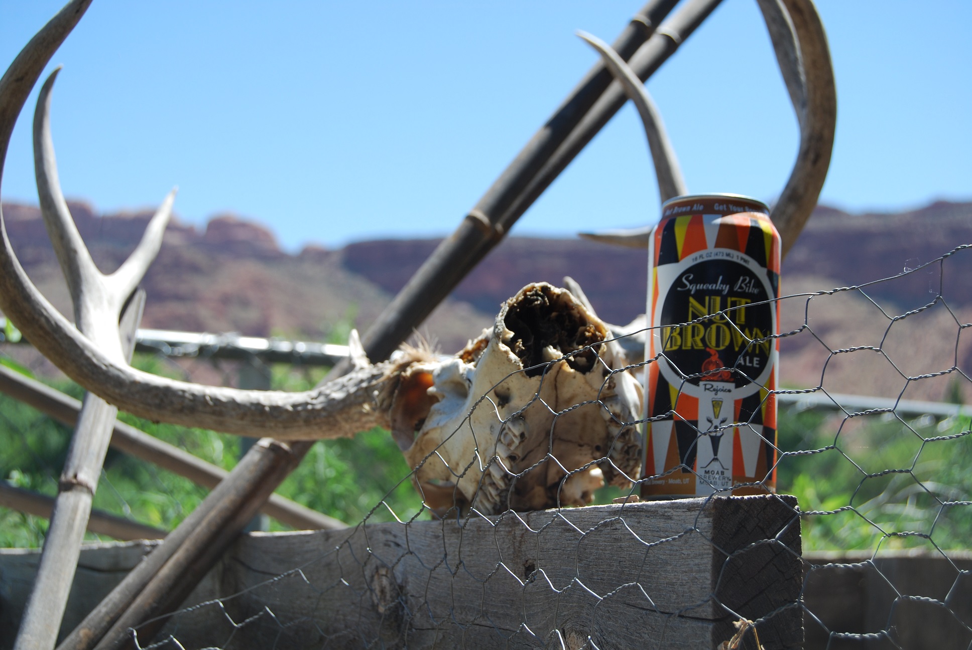 Moab Brewery | Squeaky Bike Nut Brown Ale