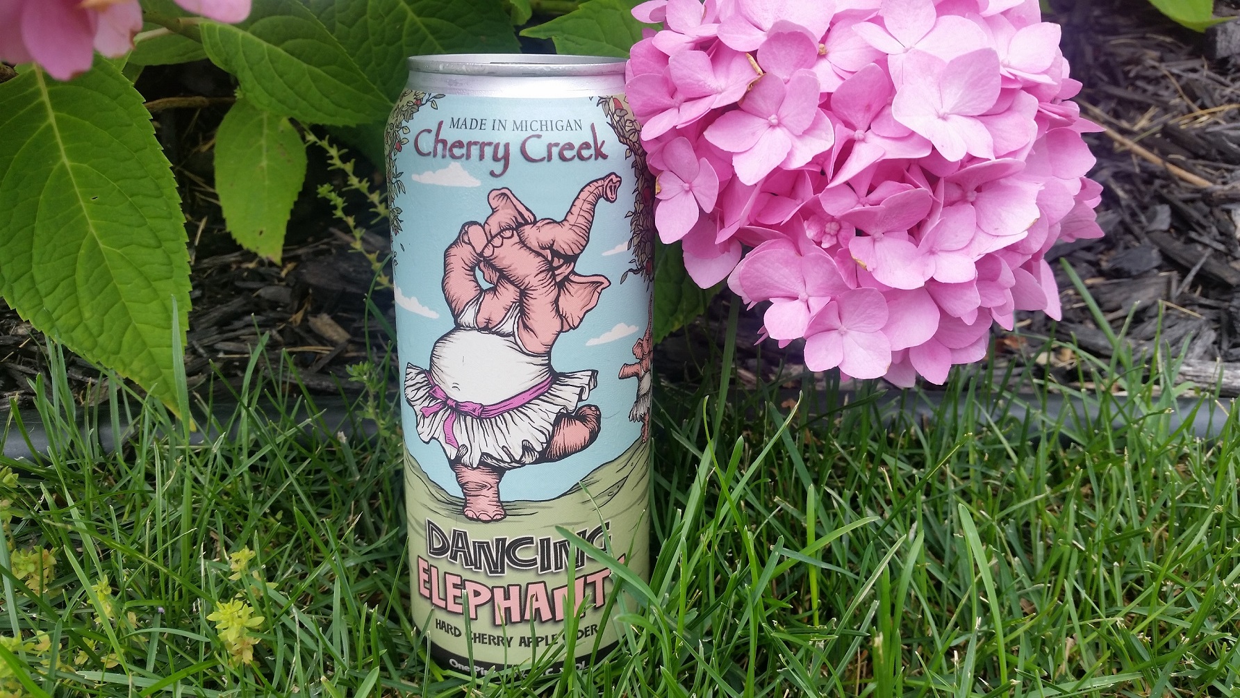 Cherry Creek Winery | Dancing Elephants