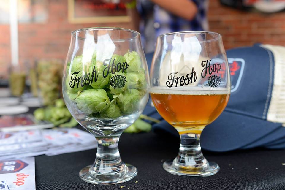 Event Preview | 11th Annual Fresh Hop Festival
