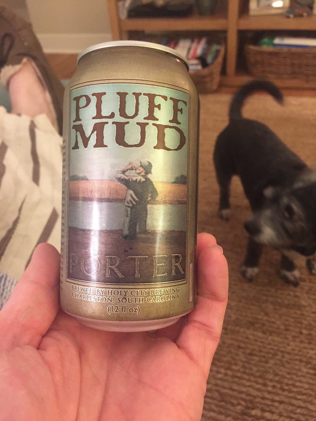 holy_city_brewing__pluff_mud_porter-_null_
