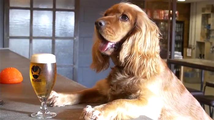 Ultimate 6er | Beers That Support Pet Causes for National Pet Month