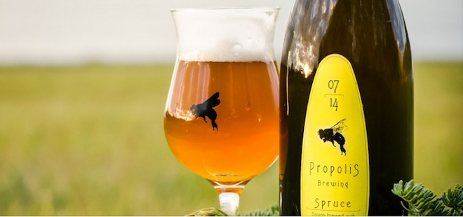 Propolis Brewing | Spruce Golden Saison