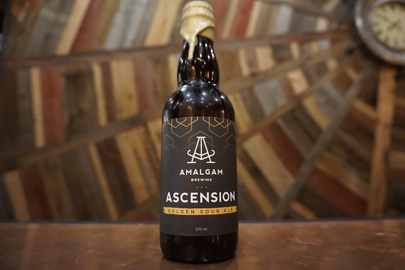 Amalgam Brewing Primed to Become Colorado’s Next Elite Sour & Wild Producer