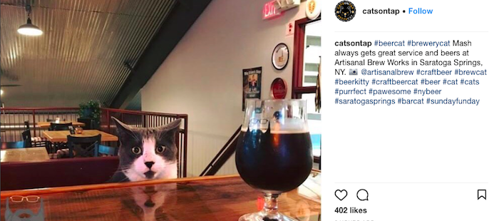 How CatsOnTap Cornered the Craft Beer Market