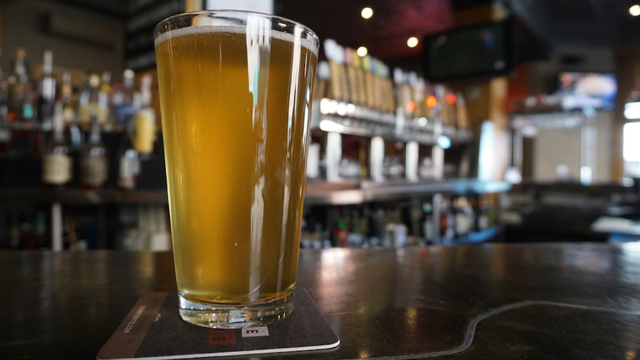Wynkoop Brewing Moringa Pale Lager Honors Haiti with Special Ingredient