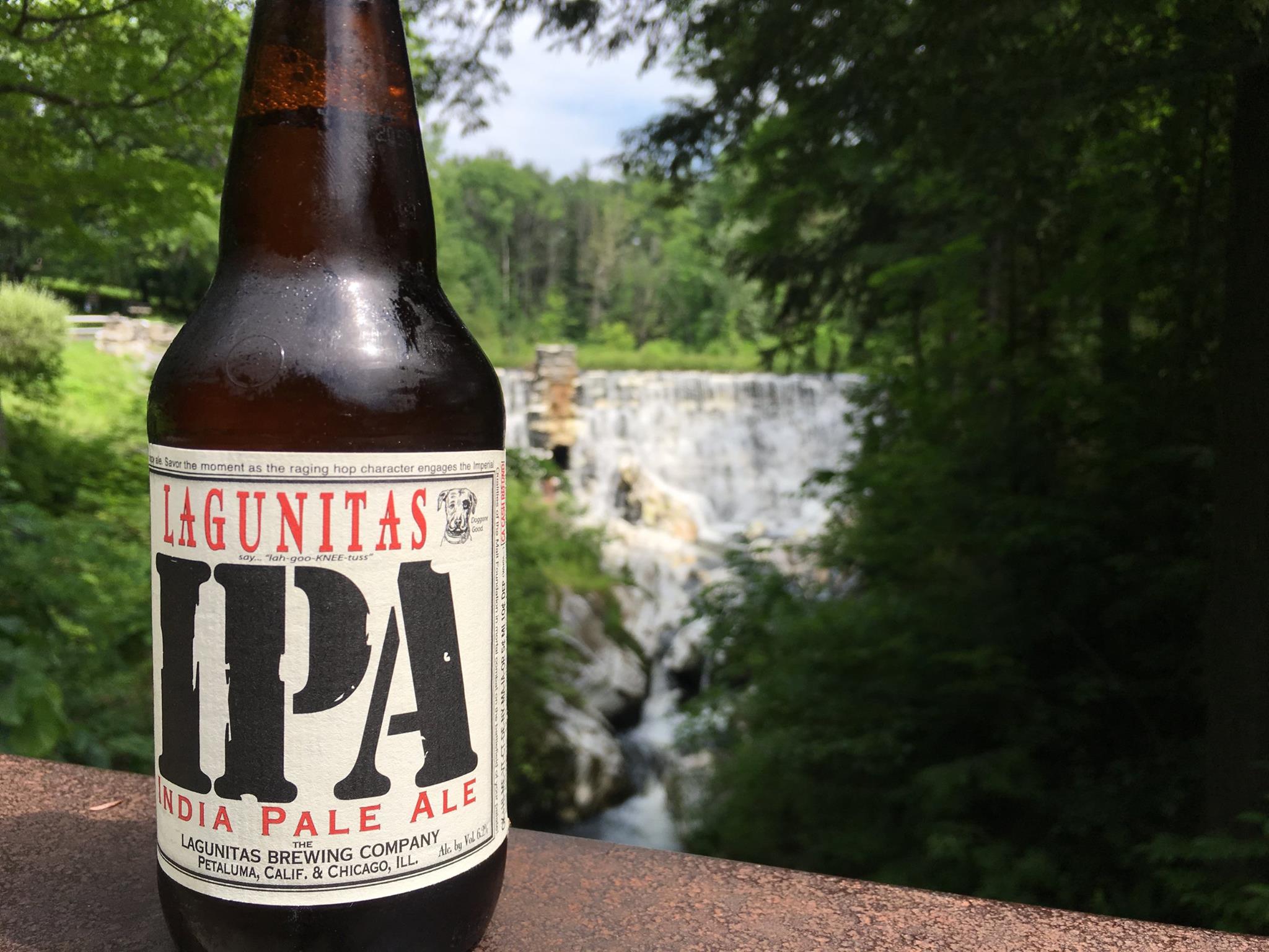 Lagunitas is Making Moves Both in Azusa and Abroad