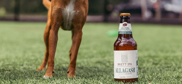 How Craft Brewers Use Their Influence to Help Out Man’s Best Friend