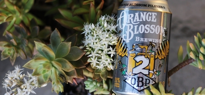 Orange Blossom Brewing | Orange Blossom Pilsner 2