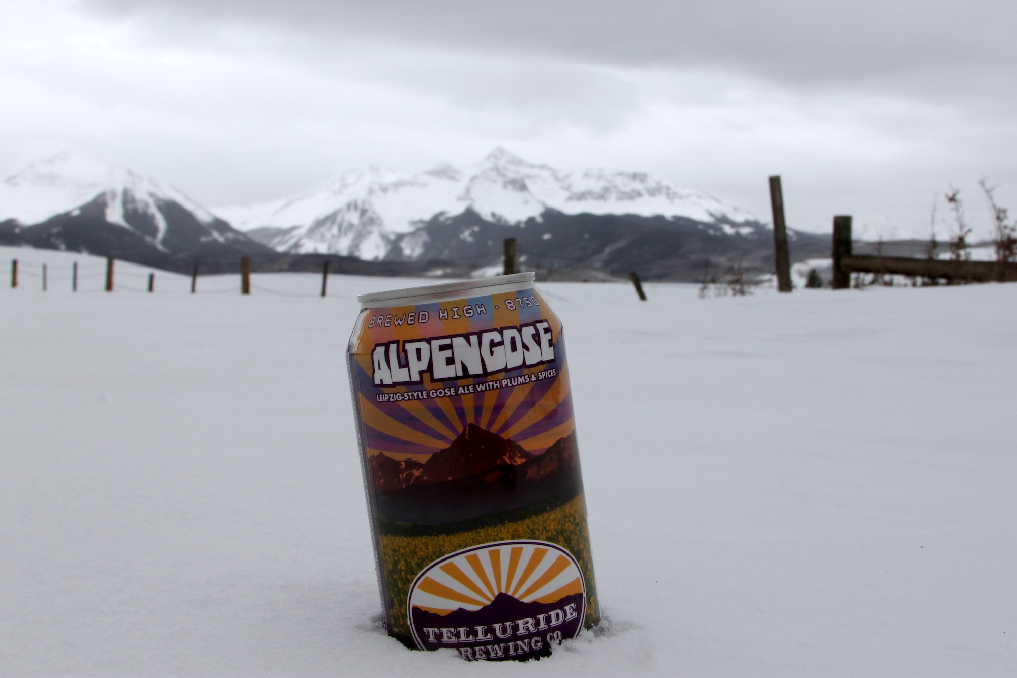 Telluride Brewing Co. | AlpenGOSE