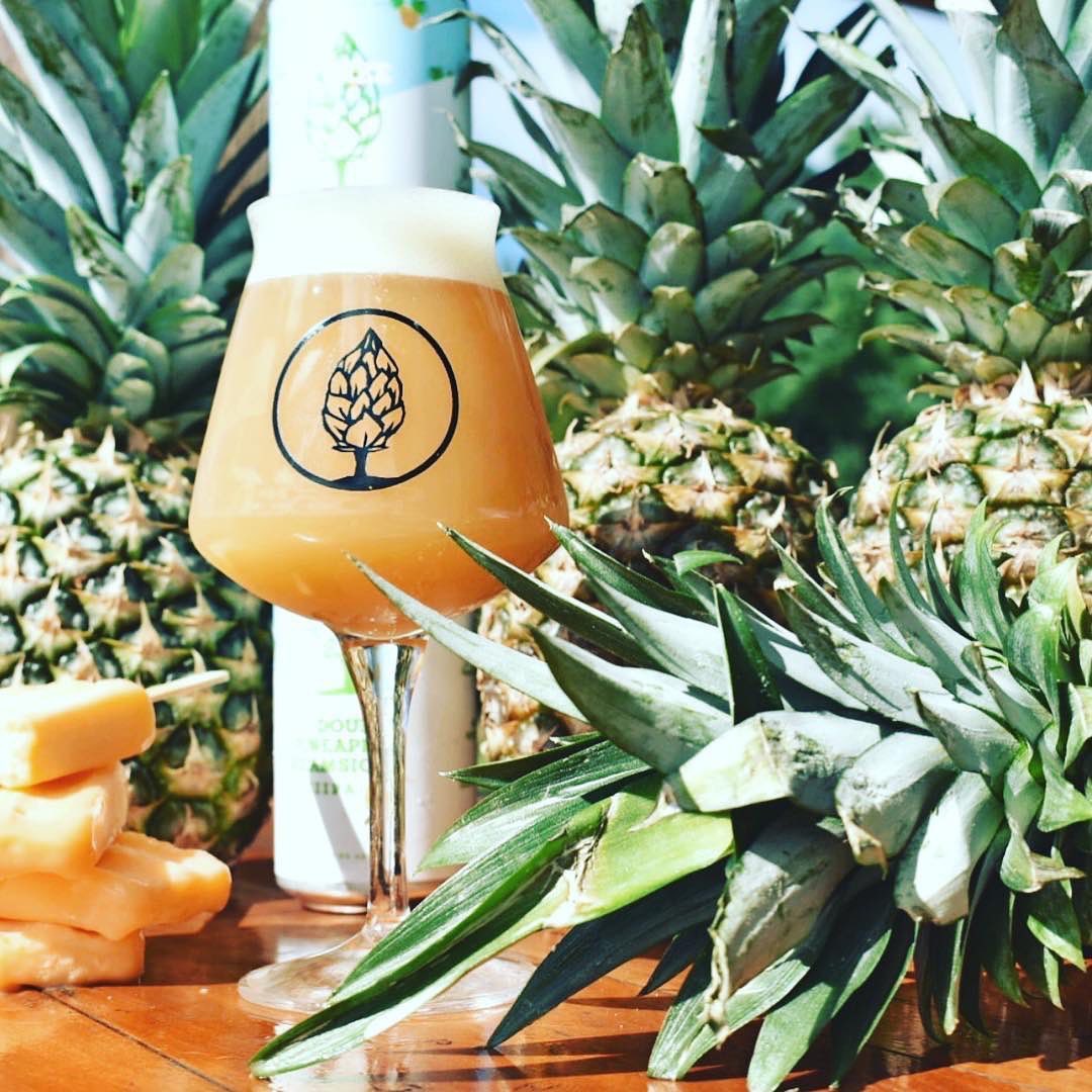 Beer Tree Brew Co. | Pineapple Creamsicle IPA