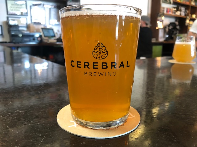 Cerebral Brewing | Character Reference Foeder Vienna Lager